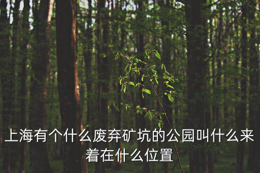 上海有個什么廢棄礦坑的公園叫什么來著在什么位置