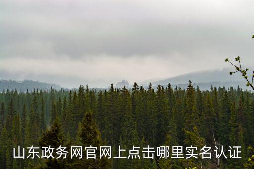 山東政務網官網上點擊哪里實名認證