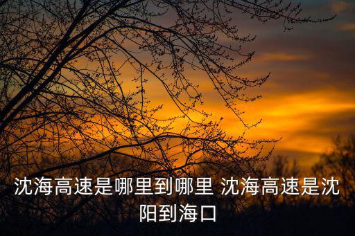 沈海高速是哪里到哪里 沈海高速是沈陽(yáng)到海口