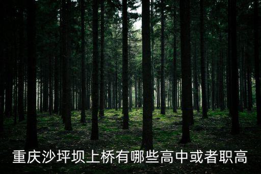 上橋中學，重慶上橋中學讀書要借讀費嗎