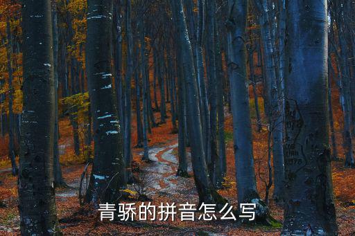 青驕的拼音怎么寫