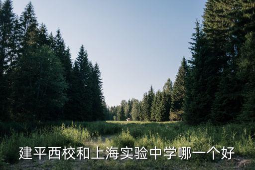 建平西校和上海實驗中學哪一個好