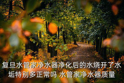 復旦水管家凈水器凈化后的水燒開了水垢特別多正常嗎 水管家凈水器質量