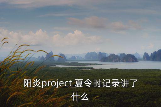 陽炎project 夏令時記錄講了什么