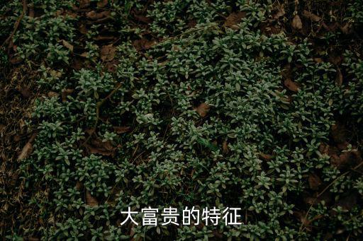 大富貴的特征