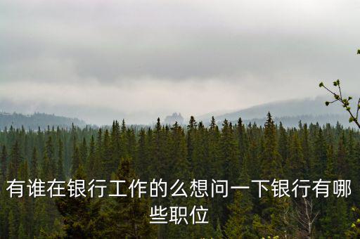 有誰在銀行工作的么想問一下銀行有哪些職位
