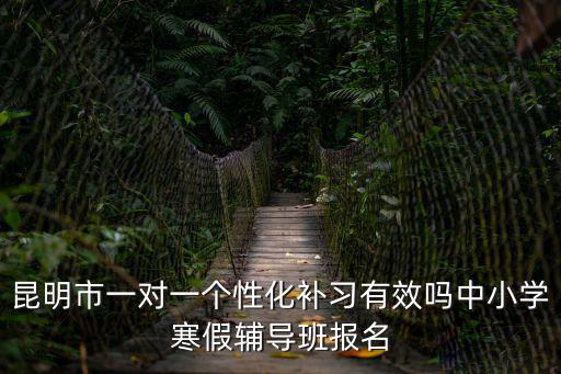 昆明市一對一個性化補習有效嗎中小學寒假輔導班報名