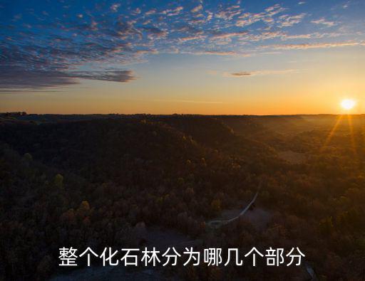 化石林，什么是化石林化石林是怎么形成的
