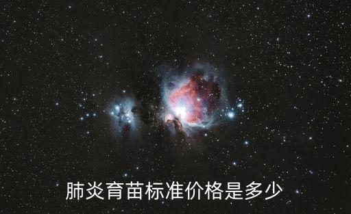 肺炎疫苗價格，肺炎育苗標準價格是多少