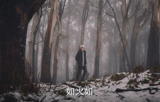 如火如