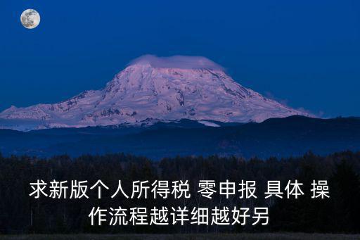 求新版個人所得稅 零申報 具體 操作流程越詳細越好另