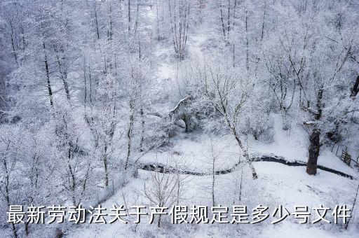 最新勞動法關于產假規定是多少號文件