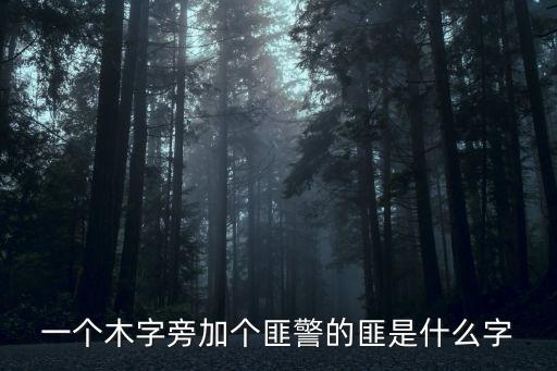 一個木字旁加個匪警的匪是什么字