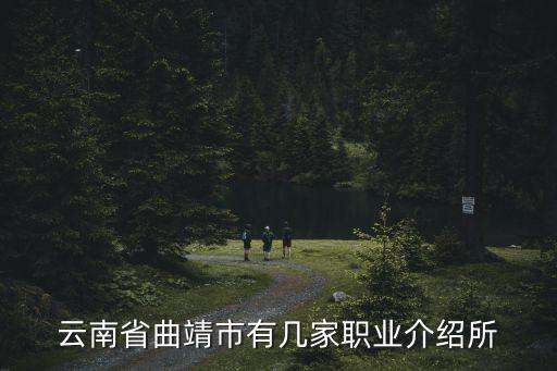 云南省曲靖市有幾家職業介紹所