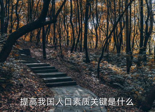 提高我國人口素質(zhì)關鍵是什么