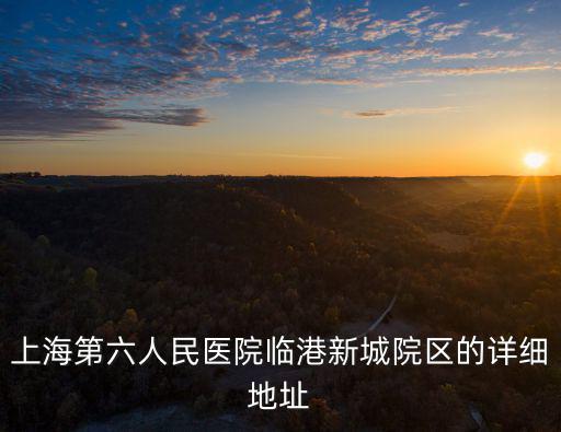 上海第六人民醫院臨港新城院區的詳細地址