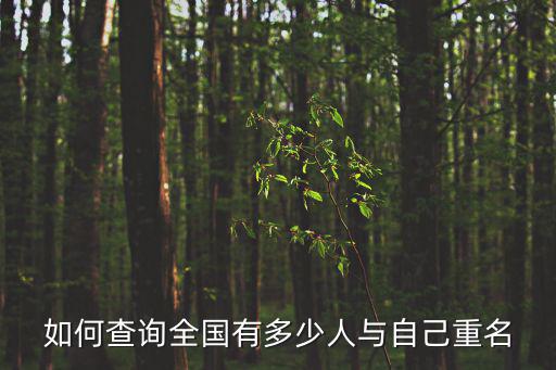 如何查詢全國有多少人與自己重名