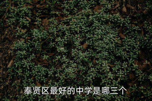 奉賢中學，奉賢區最好的中學是哪三個