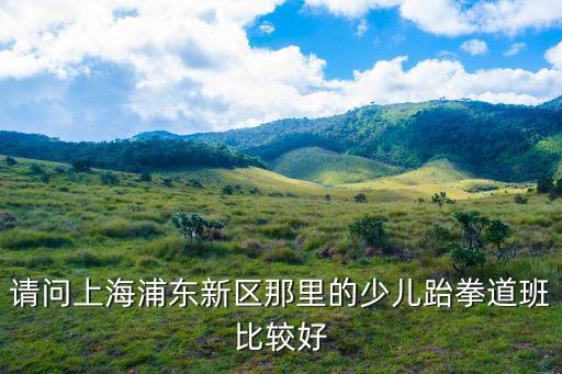 請問上海浦東新區(qū)那里的少兒跆拳道班比較好