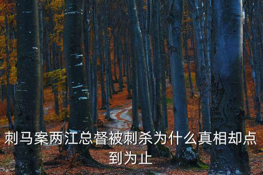 刺馬案兩江總督被刺殺為什么真相卻點到為止
