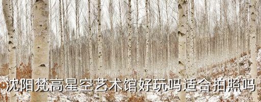 梵高美術館，西安梵高星空藝術館開業時間是什么時候