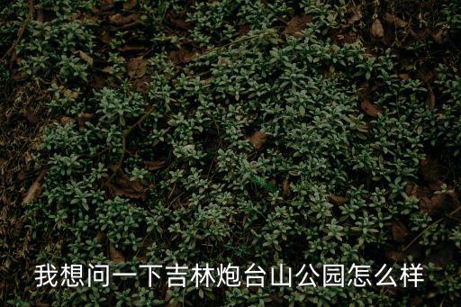 我想問一下吉林炮臺山公園怎么樣