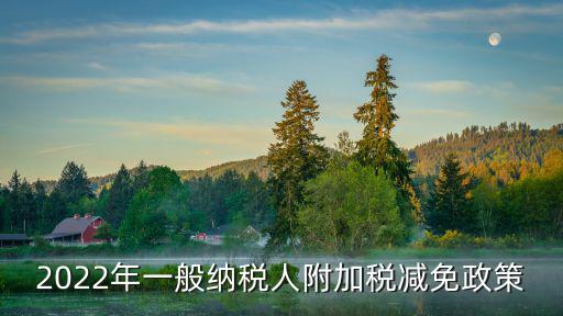 2022年一般納稅人附加稅減免政策
