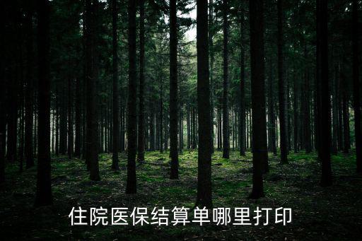 醫(yī)保結(jié)算清單，住院醫(yī)保結(jié)算單哪里打印