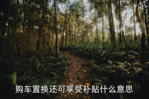 舊車置換補貼，二手車置換補貼何時可以領可不可以直接從買新車的款中抵扣  搜