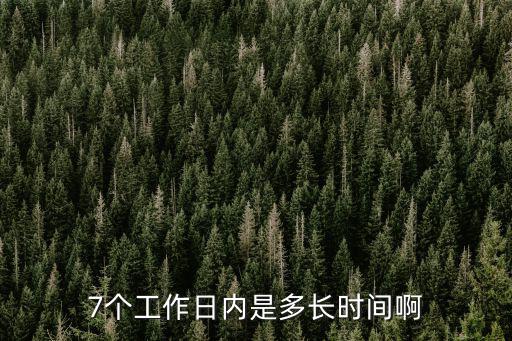 7個工作日內是多長時間啊
