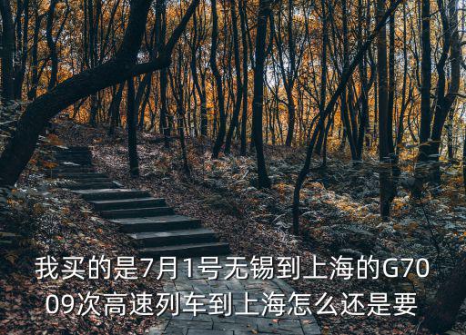 我買的是7月1號無錫到上海的G7009次高速列車到上海怎么還是要