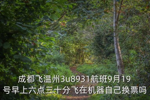 成都飛溫州3u8931航班9月19號(hào)早上六點(diǎn)三十分飛在機(jī)器自己換票嗎