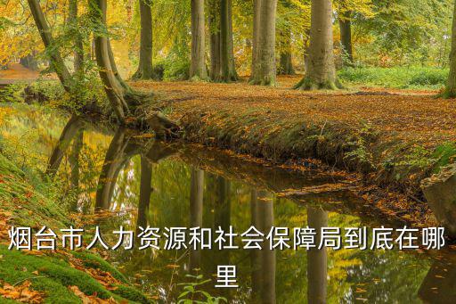 煙臺市人力資源保障局，煙臺市人力資源和社會保障局電話