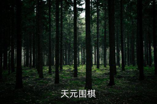 天元圍棋