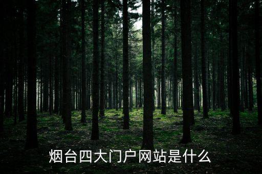 煙臺(tái)四大門戶網(wǎng)站是什么