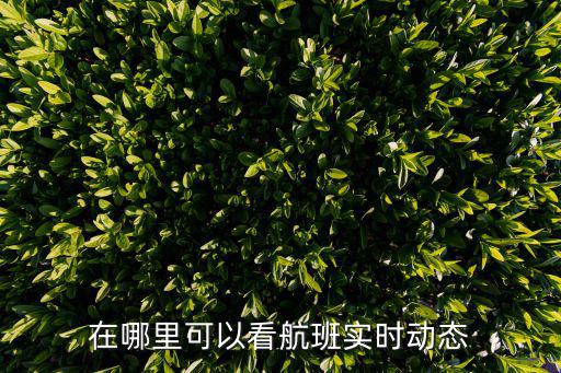 實時航班動態查詢，在哪里可以看航班實時動態