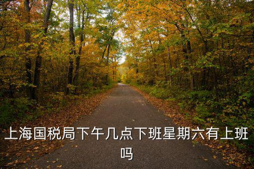 上海國稅局下午幾點下班星期六有上班嗎