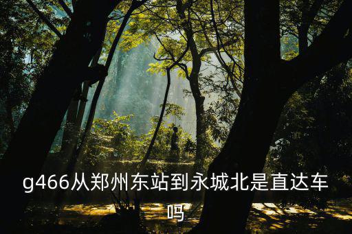 g466從鄭州東站到永城北是直達(dá)車嗎