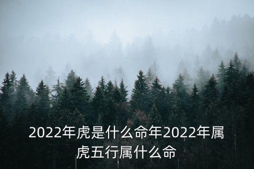2022年虎是什么命年2022年屬虎五行屬什么命