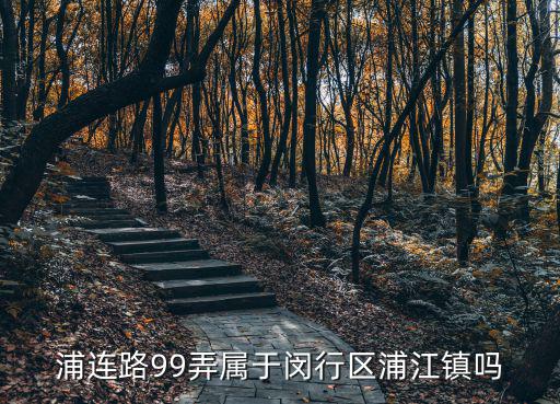 浦連路99弄屬于閔行區浦江鎮嗎