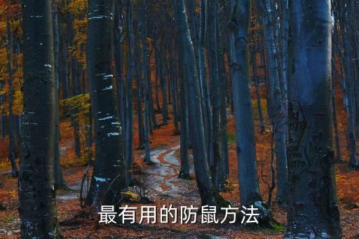 防鼠，家里怎樣防老鼠