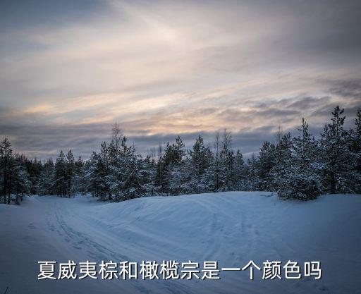 夏威夷棕和橄欖宗是一個顏色嗎