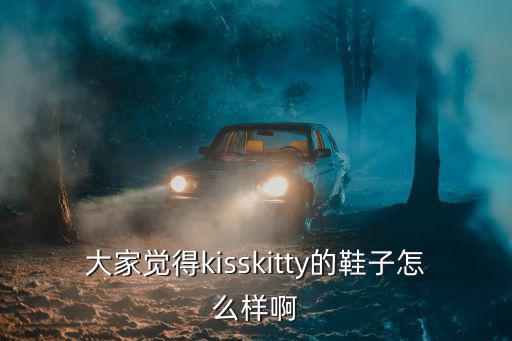 kisskitty，kiss Kitty這是什么牌子