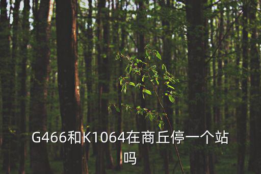 G466和K1064在商丘停一個站嗎