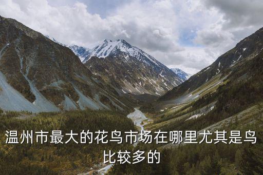 溫州市最大的花鳥市場在哪里尤其是鳥比較多的