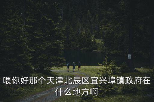 喂你好那個天津北辰區宜興埠鎮政府在什么地方啊