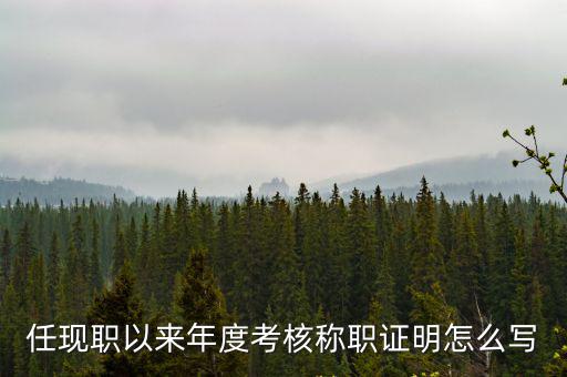 任現職以來年度考核稱職證明怎么寫