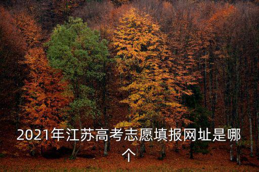 志愿江蘇平臺登錄，蘇州哪里需要志愿者