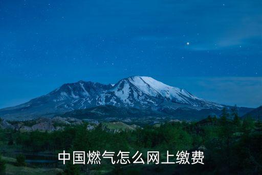 中國燃氣怎么網上繳費