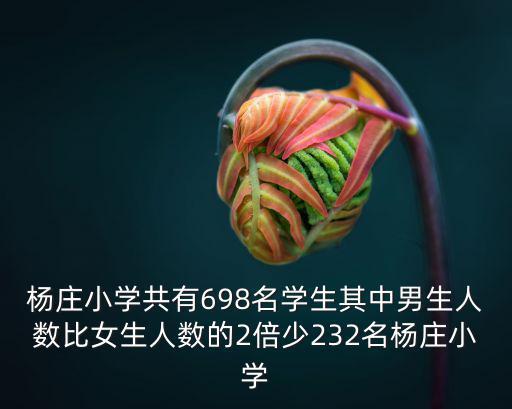 楊莊小學，壽光市羊口鎮楊莊小學副校長是誰